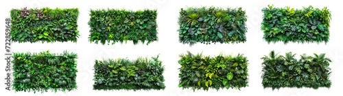Set of green wall of tropical plants on a transparent background