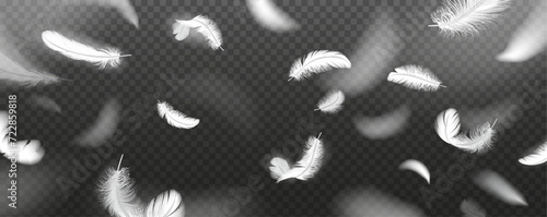 Floating feathers pattern realistic vector illustration. Elegant birds plumes flying in space 3d design elements on transparent background