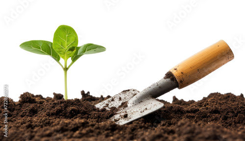 Young plant in the soil with a garden shovel  cut out - stock png.