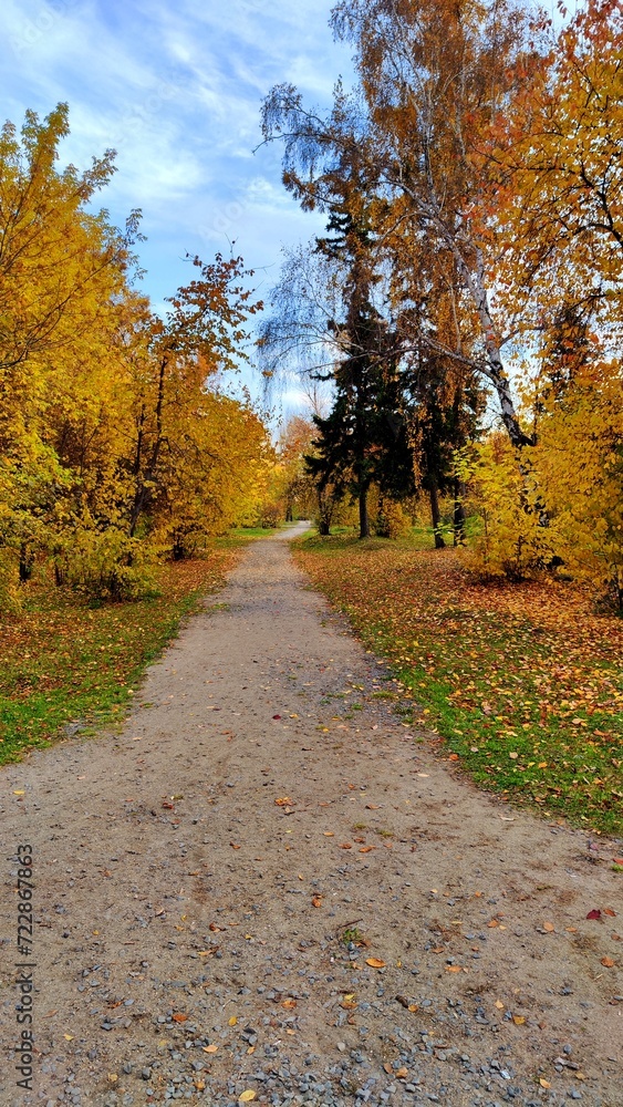 Trail in an Autumn Park. Daytime photo