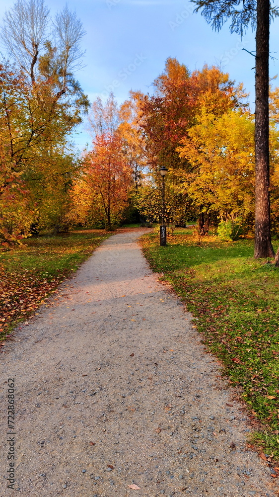 Trail in an Autumn Park. Daytime photo