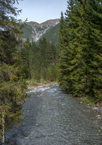 View of forest and mountains in Austria