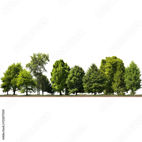Pine tree View of a High definition, Treeline isolated on white background, Forest and foliage in summer, Row of trees and shrubs