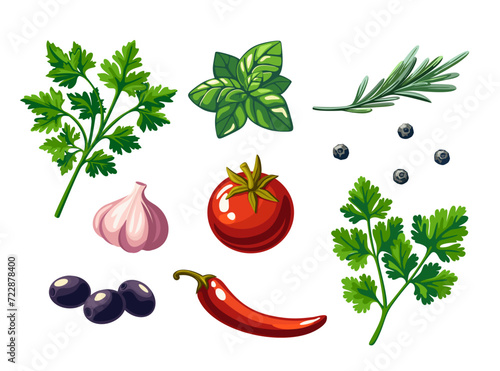 Vector set of spices and herbs with basil, garlic, chili pepper, rosemary, parsley and cilantro isolated on white background. Vector illustration in eps 10. Suitable for menu, recipe and cookbook 