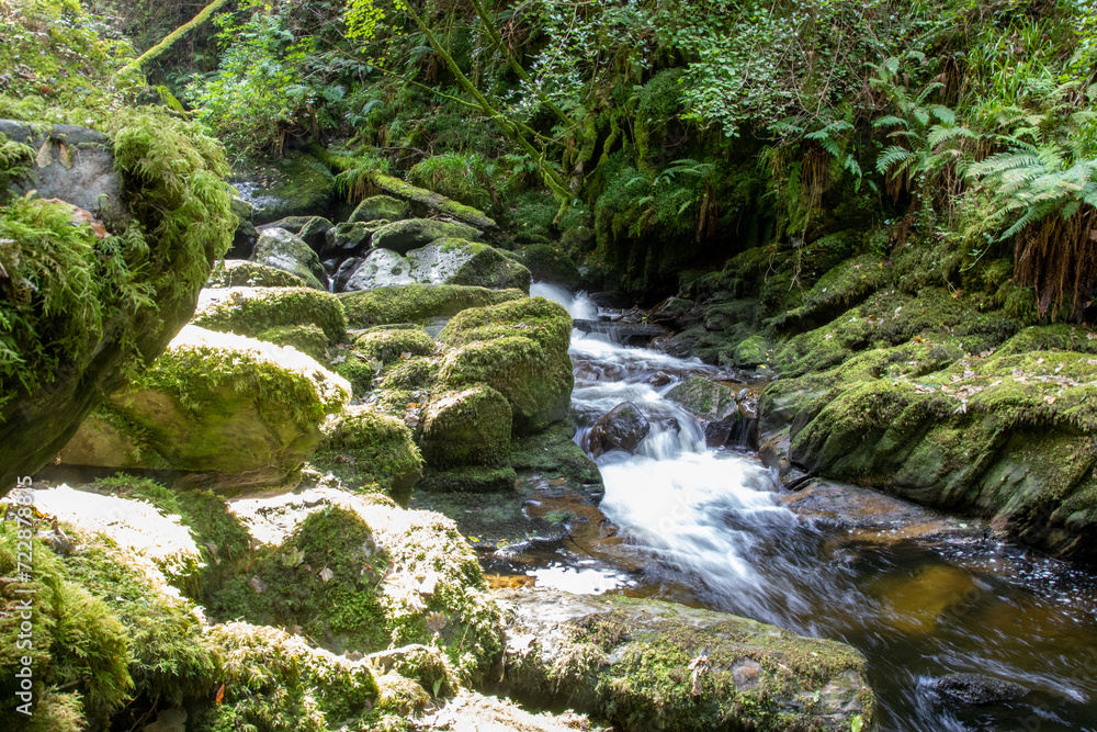 The Torc Waterfall in the Killarney National Park in County Kerry - Ireland The Torc Waterfall in the Killarney National Park in County Kerry - Ireland