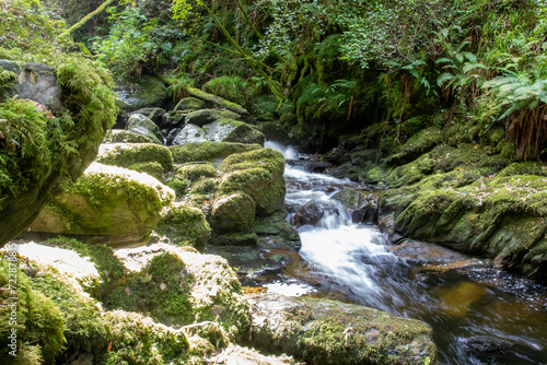 Fototapeta Naklejka Na Ścianę i Meble -  The Torc Waterfall in the Killarney National Park in County Kerry - Ireland