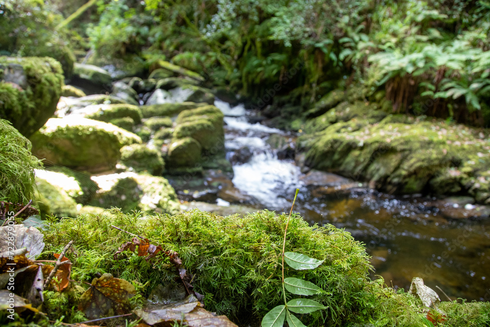 The Torc Waterfall in the Killarney National Park in County Kerry - Ireland The Torc Waterfall in the Killarney National Park in County Kerry - Ireland