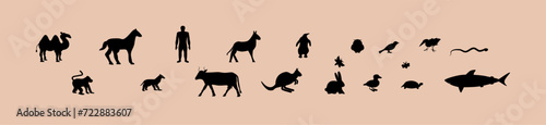 Silhouettes of Animals