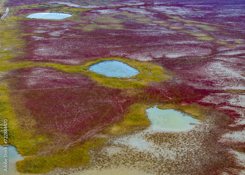 Ecological Scenery of Dongtai Tiaozini Wetland in Yancheng, Jiangsu Province photo