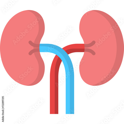 Kidneys Icon