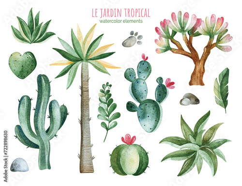 Watercolor collection with tropical plants-succulents,cactus,dragon trees,baobabs and more. Perfect for your project, wedding, invitations, wallpapers, prints, textile etc