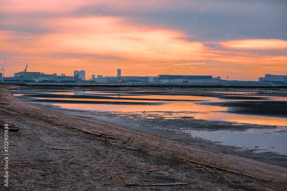 夜明けの干潮　ふなばし三番瀬海浜公園の干潟（千葉県船橋市）　