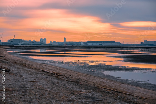夜明けの干潮 ふなばし三番瀬海浜公園の干潟（千葉県船橋市） 