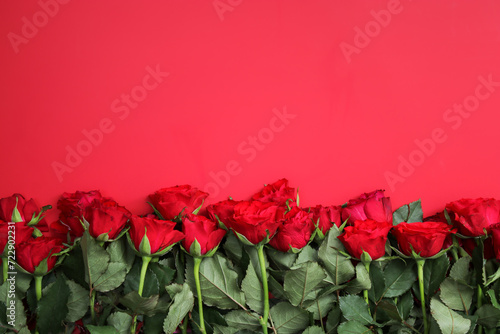 Top view of red roses on red background with copy space