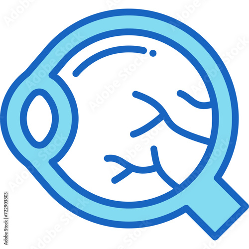 Eyeball Icon