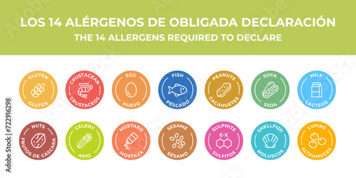 Isolated Vector Logo Set Badge Ingredient Warning Label. Colorful Allergens icons. Food Intolerance. The 14 allergens required to declare written in Spanish and English