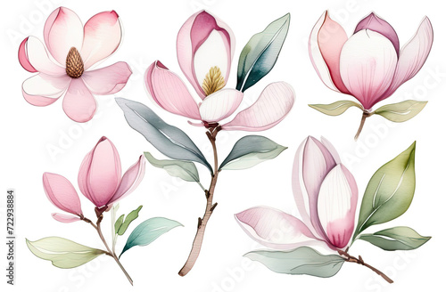 Magnolia watercolor clipart set, pink plant collection isolated on white background, Botanical herbal illustration for wedding, greeting card, wallpaper, wrapping paper design, textile, scrapbooking