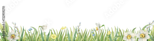 Watercolor floral banner with spring flowers and green grass. Vector design for cards, invitations, postcards, packaging. Hand drawn illustration.