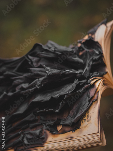 burned book, ashes of the book pages, macro
