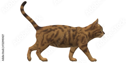 Cat isolated on a Transparent Background