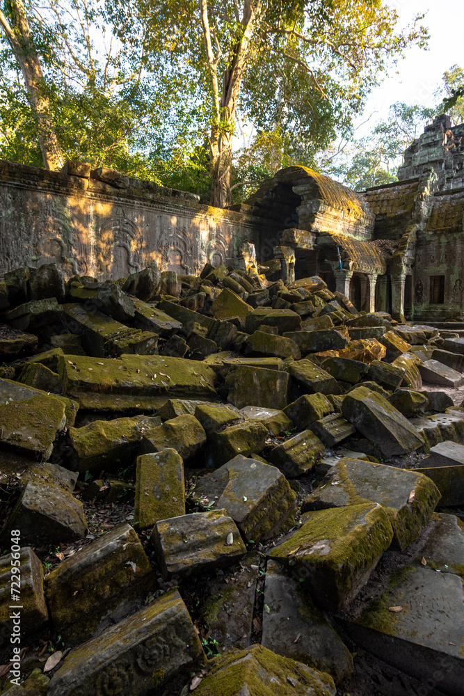 Fototapeta premium The ruins of the Ta Prohm temple at Angkor Wat. Siem Reap. cambodia
