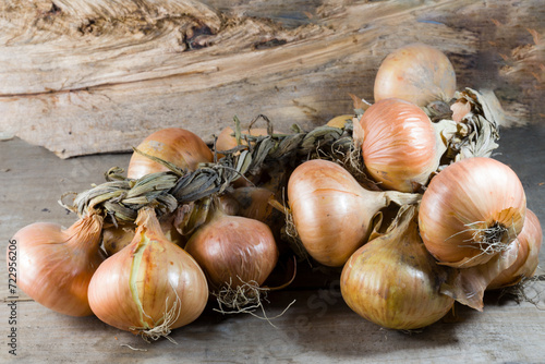 Wallpaper Mural onion tied in a pigtail Torontodigital.ca