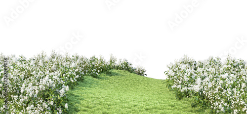 Colorful flower garden lawn on transparent background