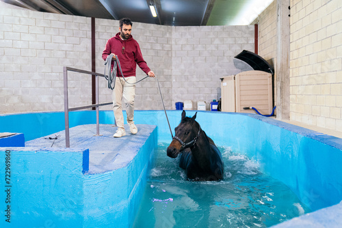 A focused caretaker guides a swimming horse in a therapeutic pool, providing specialized care for muscle strengthening and injury recovery.