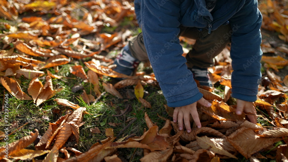 Child with Orange Leaves on Head in Sunlit Park - Autumn Playtime of kid wearing blue jacket amidst orange nature playing outdoors Child with Orange Leaves on Head in Sunlit Park - Autumn Playtime of kid wearing blue jacket amidst orange nature playing outdoors