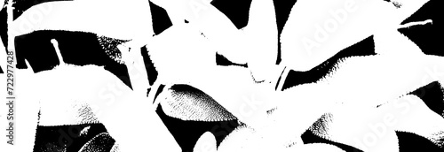 Abstract Background in Black and White - Art photo