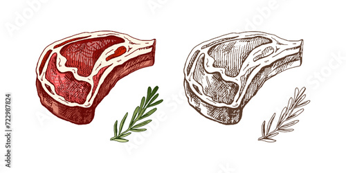 Organic food. Hand-drawn color vector sketch of grilled beef steak, piece of meat with rosemary. Vintage illustration. Decorations for the menu of cafes and labels. Engraved image.