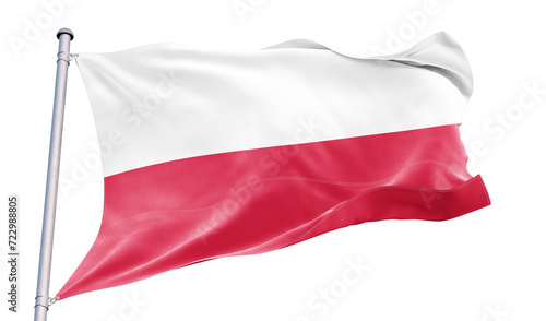 Polish flag on transparent background.