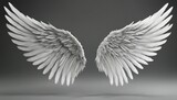 Angel wings isolated on background
