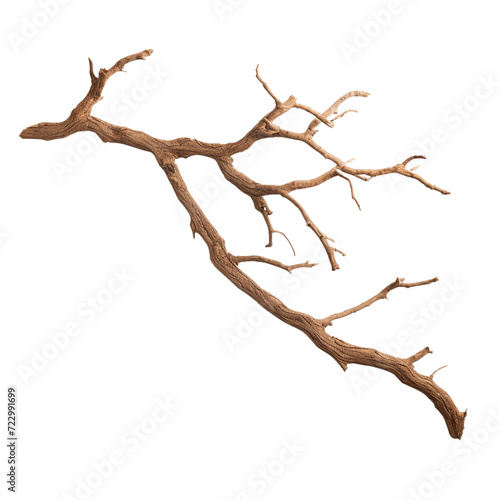 Dry branche clip art