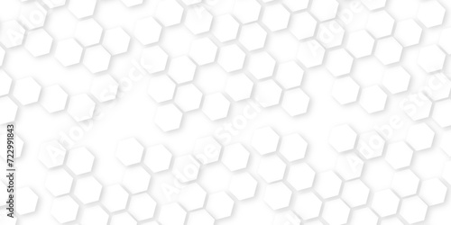 Background with hexagons . Abstract background with lines,Modern simple style hexagonal graphic concept.Modern simple style hexagonal graphic concept.Honeycomb background, seamless hexagons pattern, B