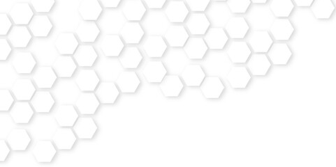 Papier peint photo  Background with hexagons,Abstract background with lines,Modern simple style hexagonal graphic concept.hexagon concept design abstract technology background.geometric mesh cell texture.  © MD SAGOR