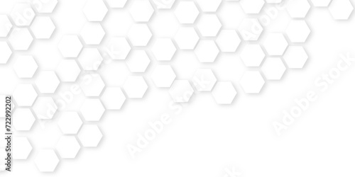 Background with hexagons,Abstract background with lines,Modern simple style hexagonal graphic concept.hexagon concept design abstract technology background.geometric mesh cell texture.