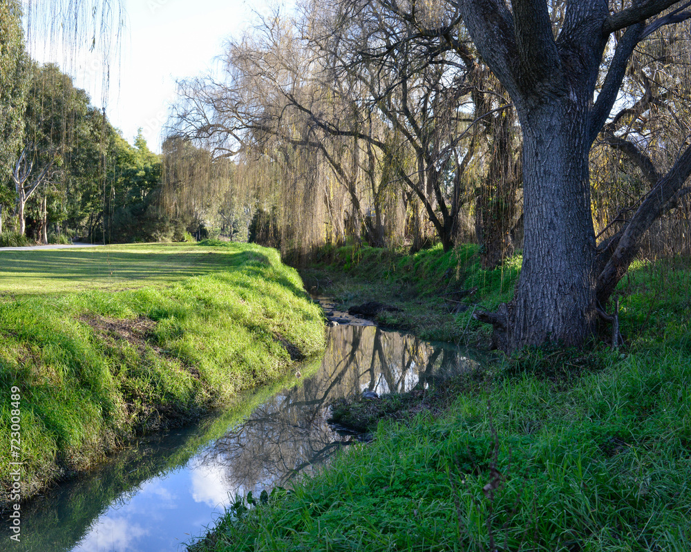 A creek winds its way through a suburban park A creek winds its way through a suburban park