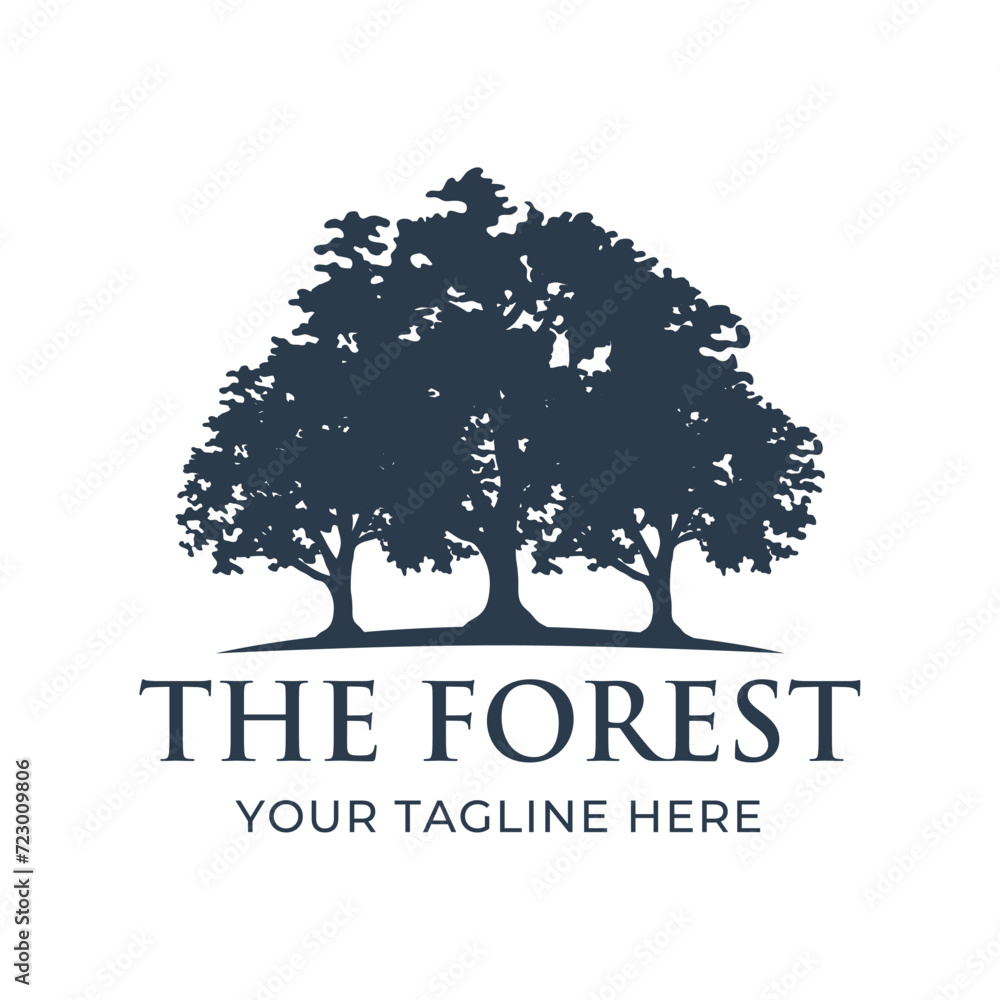 Fototapeta premium Tree logo design. Pine forest logo vector illustration