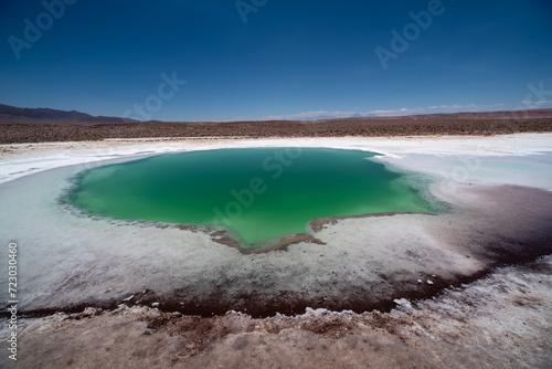 Hidden lagoon Baltinache , Lagunas escondidas Baltinache in Atacama Desert, Chile