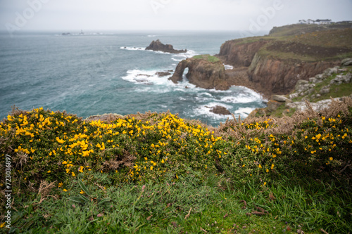 Enys Dodnan Arch with rough seas during a storm at Land's End in Celtic Sea, Penzance, Cornwall. Bright yellow gorse flowers by the Cornwall's rugged north coast.