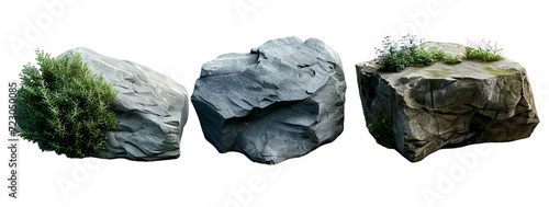 Set of stone with different types of green plants growing on them, isolated on a white background