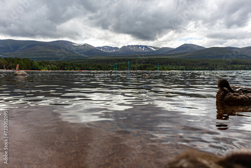 Lake Morlich, cairngorms scottish highlands. photo