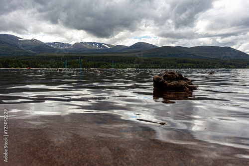 Lake Morlich, cairngorms scottish highlands. photo