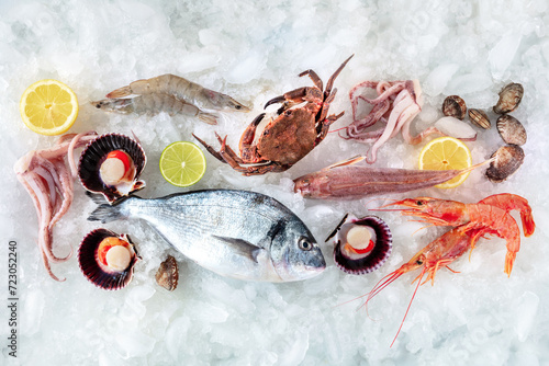 Photography Seafood
