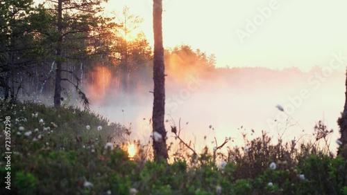 Platte River Morning Loop, Aerial View Epic Low Clouds Over Lake Sunset, Seamless Cinemagraph Loop - Fog Moving Through A Lake in the forest. Estonian Wild Nature. The Sun Is Rising with mist