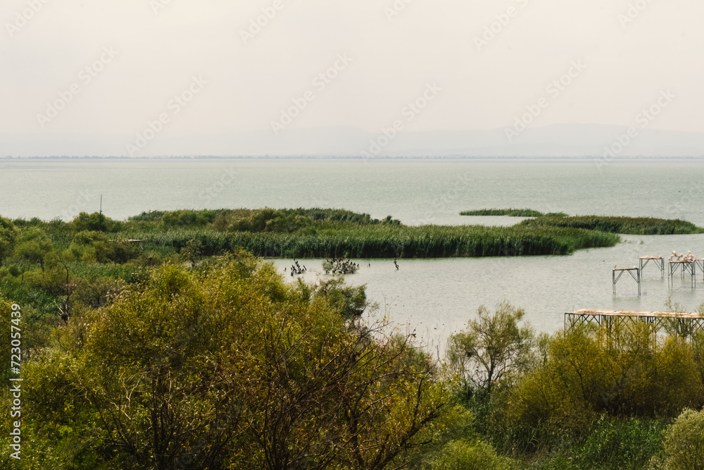 View of wild waterfowl in Lake Manyas in Manyas Nature Park.