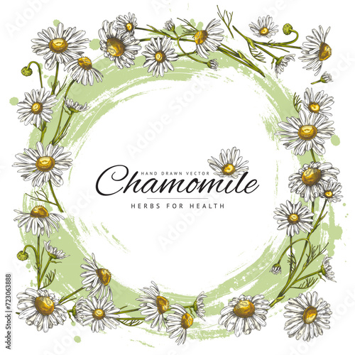 Chamomile flowers frame with abstract background.