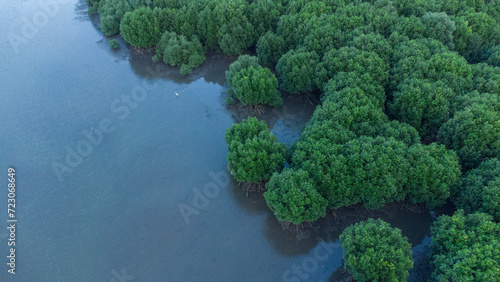 Aerial view of mangrove forest in Aceh © Azmil