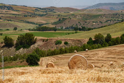 Country landscape near Tricarico and Grottole, Basilicata, Italy photo